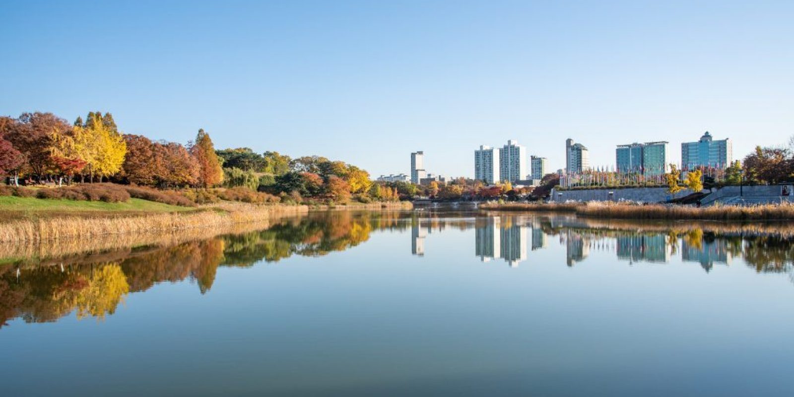Fall leaves. Fall scenery. Lake. Seoul Olympic Park in South Korea.