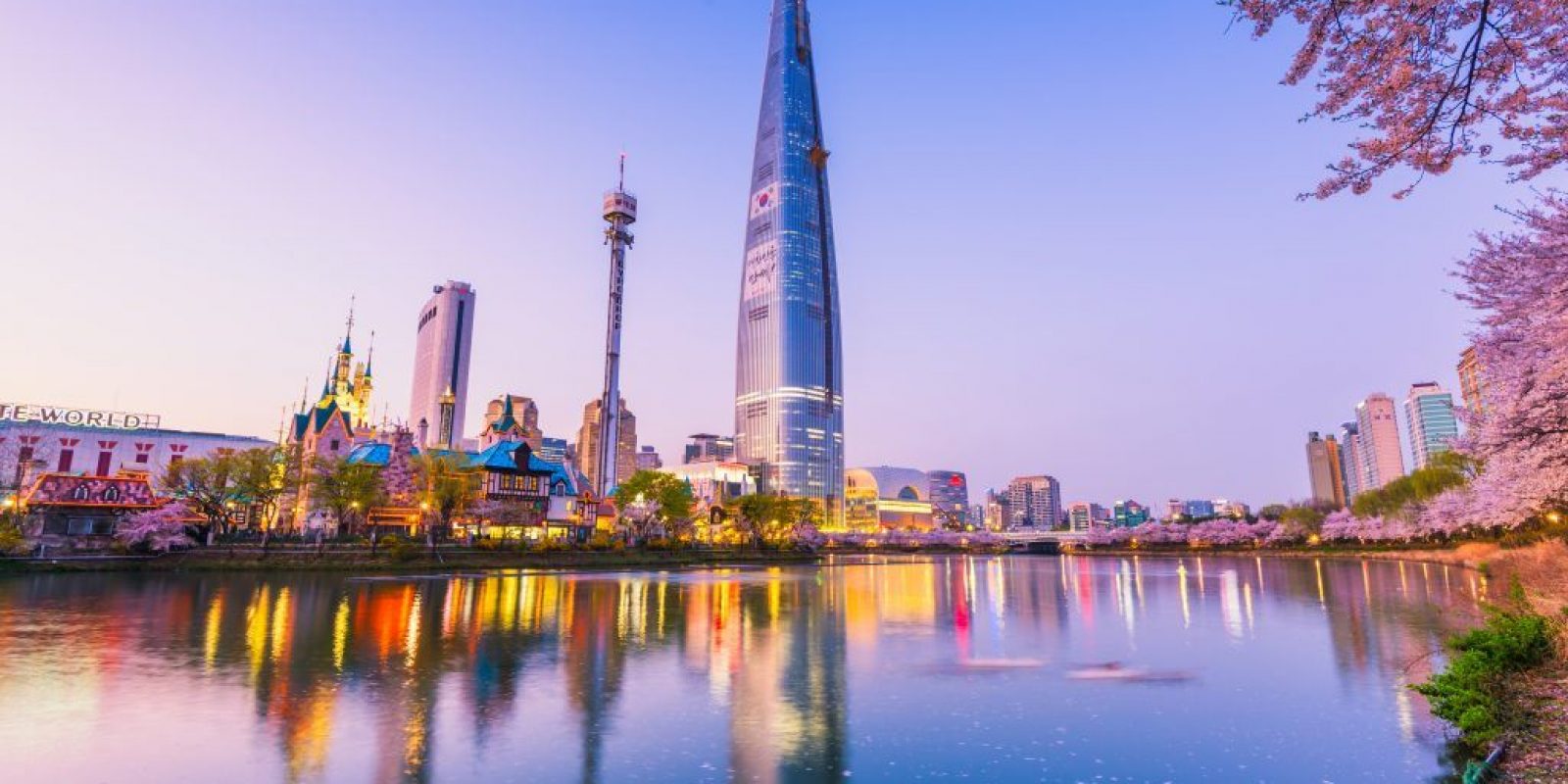 cherry blossom of Spring in Seoul, South Korea .