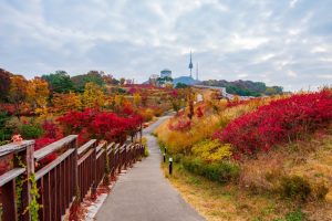 Autumn of Namsan Tower in Seoul,South Korea