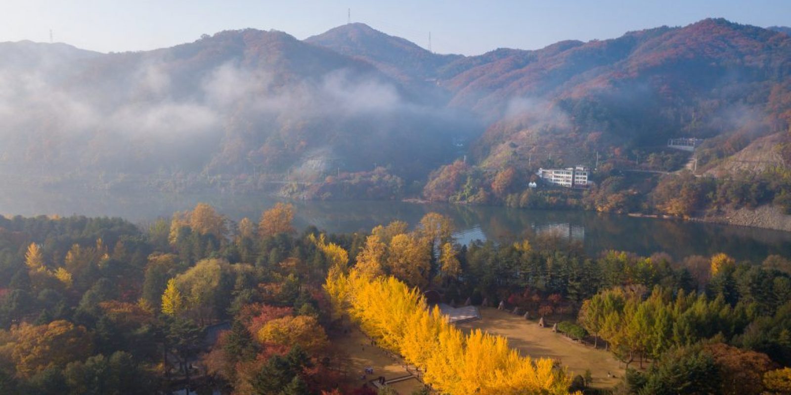 Autumn of Nami island,Seoul Korea