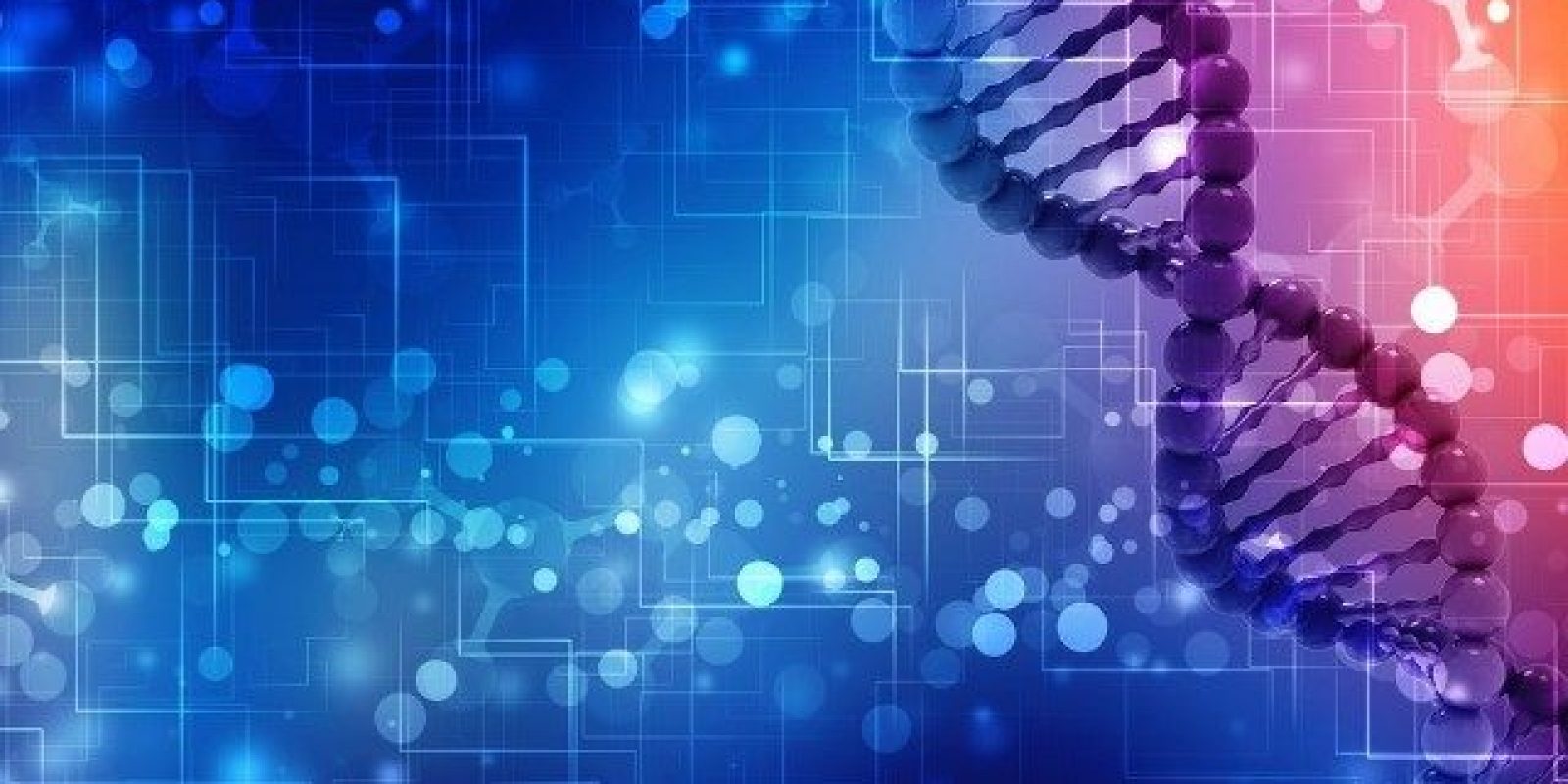 Personalised-Breast-Cancer-Programme-PBCP-in-UK-Using-Gene-Analysis-to-Potentially-Guide-Treatment-Decisions
